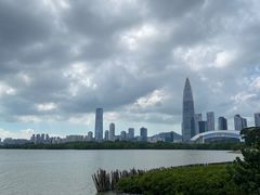 -宝安西湾红树林湿地公园