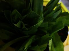 -活鱼馆(宜兴埠店)