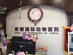 -宠爱国际动物医院·疑难骨科·心肾内科·皮肤科(太阳宫店)