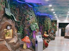 -上海大自然野生昆虫馆(东方明珠·爬宠昆虫探索中心)