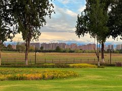 -汉长安城未央宫国家考古遗址公园