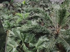 -黑龙江中医药大学