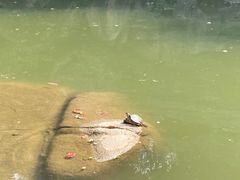 -白马涧龙池景区