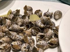 盐水小海螺-余记海鲜(合生广场店)