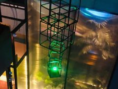 -柒Lounge(三里屯店)