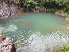 -广州白江湖森林公园