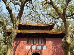 -普陀山风景名胜区-法雨禅寺