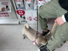 -谐和贝康宠物医院24小时·宠保定点(急重症转诊中心)