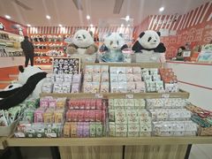 -熊猫邮局(少城店)