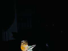 -西双版纳安纳塔拉度假酒店