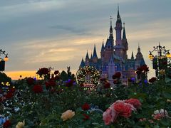 -上海迪士尼度假区