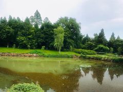 -太湖饭店·寄畅轩中餐厅
