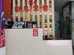 -创凡宠物医院·骨专科  猫科中心(西乡分院)