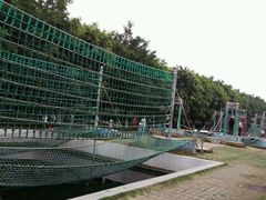 -广东茂名森林公园