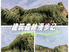 -府河摄影公园