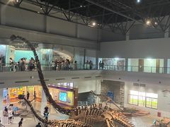 -自贡恐龙博物馆