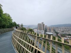 -福道
