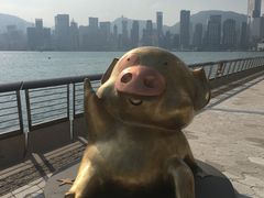 -星光大道