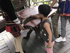 -海南槟榔谷黎苗文化旅游区