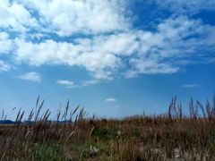 -贵州云顶草原民族风情园