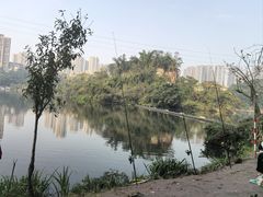 -重庆彩云湖湿地公园