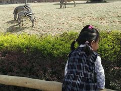 -石家庄市动物园