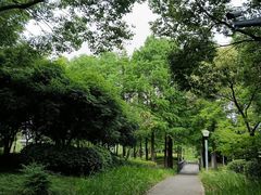 -尚贤河湿地