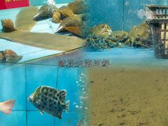 水产区-悦湖公馆