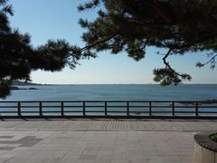 -如家精选酒店(青岛八大关太平角公园地铁站海水浴场店)