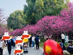 -水门桥面馆(东坡雅居店)