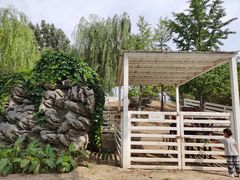 -酷鱼垂钓CLUB(朝阳区博大路店 )