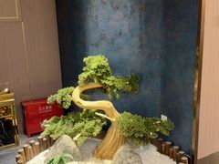 -陆琴脚艺·足浴·SPA(夫子庙店)