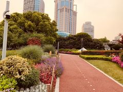 -上海港国际客运中心