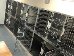 -爱诺耐芙动物医院(万博店)