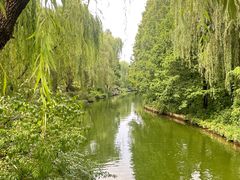 -趵突泉景区