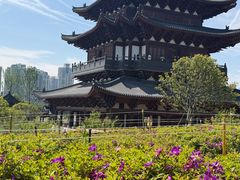 -江心屿景区