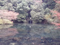 -西湖风景区十里琅珰-五云山