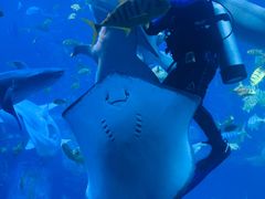 -太平洋海底世界