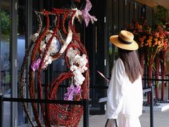 -云溪植物园
