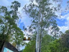 -东莞观音山旅游风景区