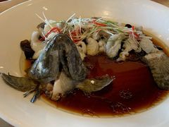 -碧丽宫大酒店(召稼楼店)
