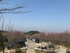 -冶父山国家森林公园