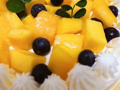 -今日·TODAY手作低脂动物奶油蛋糕定制(高新万达店)