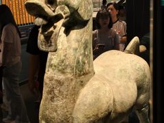 -广西壮族自治区博物馆