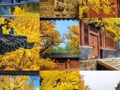 -晋祠公园