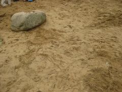 -苏州河梦清园环保主题公园