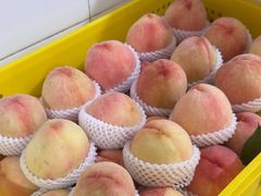 -老袁家蜜桃农场·阳山水蜜桃