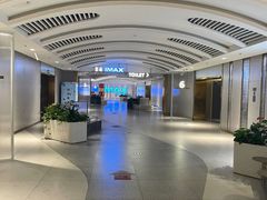 -大世界影城(无锡江南大悦城IMAX激光店)