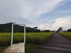 -艾米稻香小镇