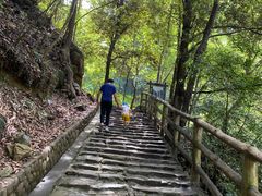 -花岩国家森林公园